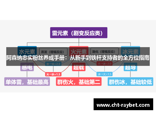 阿森纳忠实粉丝养成手册：从新手到铁杆支持者的全方位指南